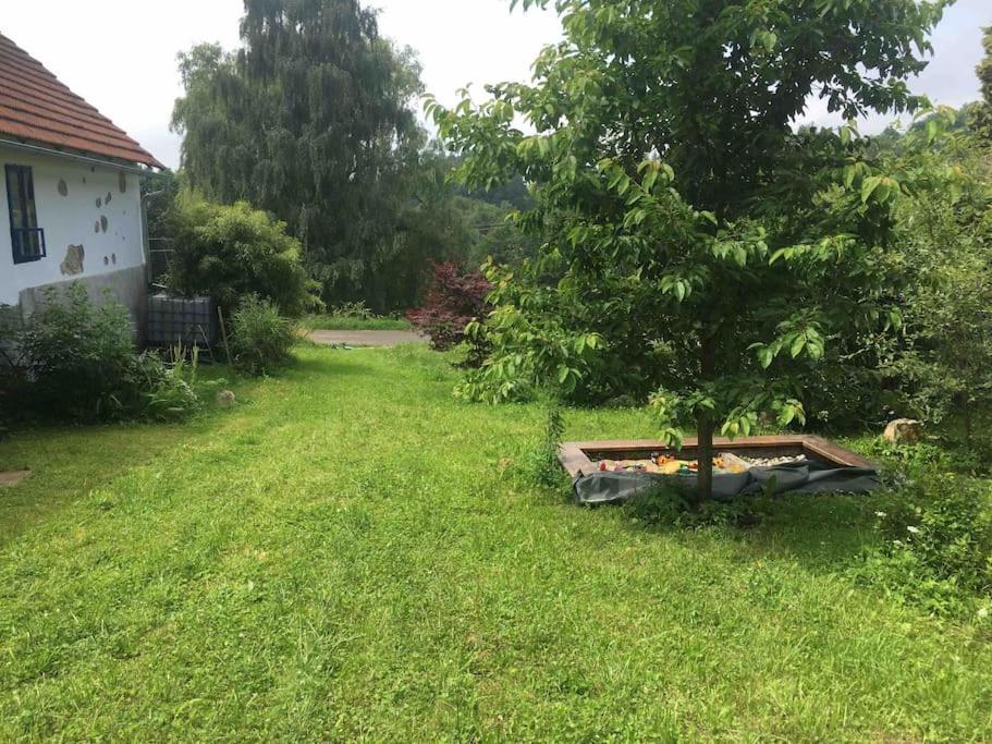 127 Let Stara Chalupa Se Spanim Na Peci A Finskou Saunou Jistebnice Exterior foto