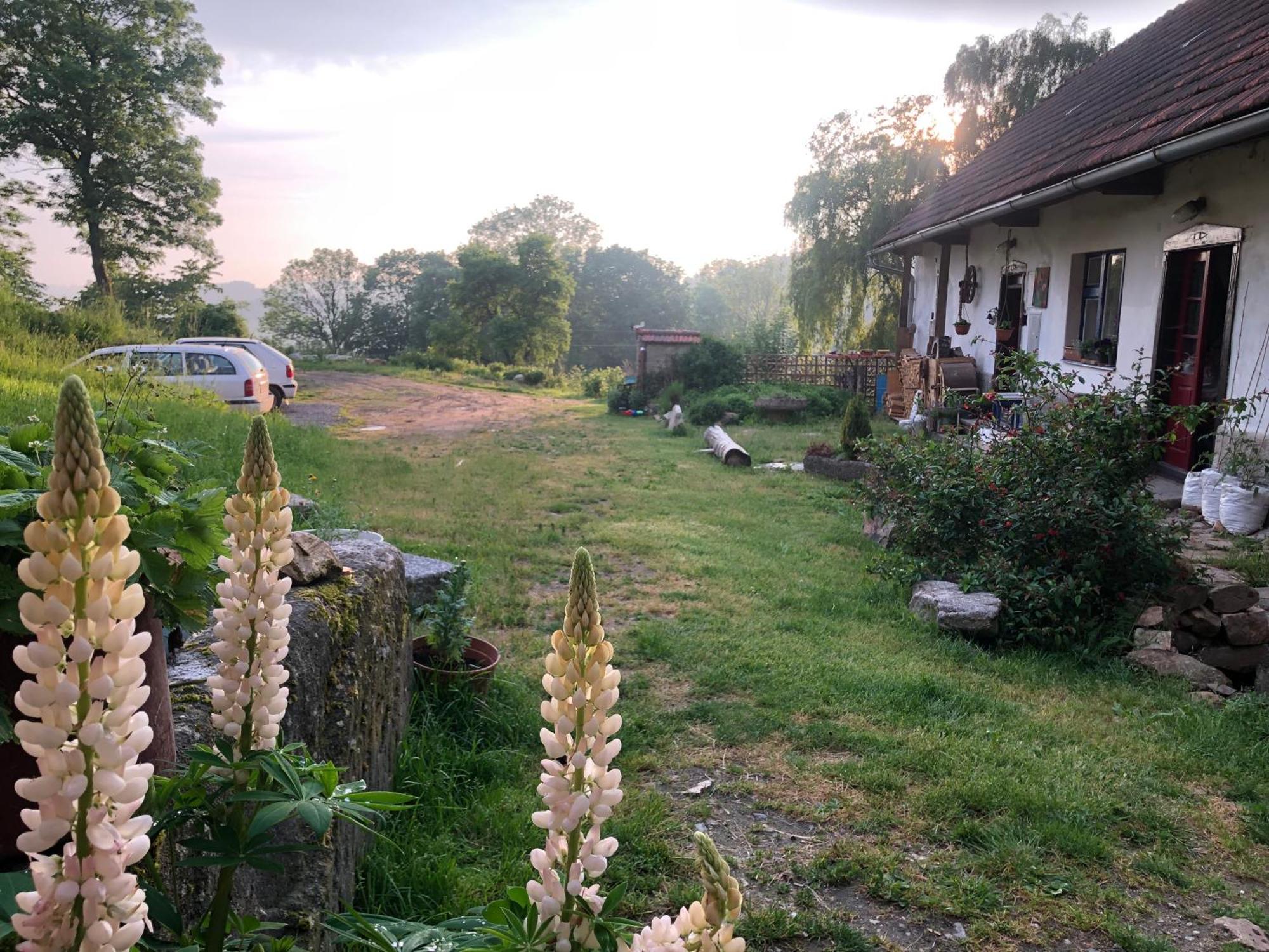 127 Let Stara Chalupa Se Spanim Na Peci A Finskou Saunou Jistebnice Exterior foto